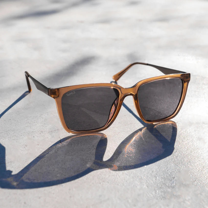 Wear Me Pro Mason Sunglasses | Crystal Brown Frame / Black Lens