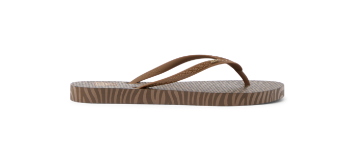Reef Seaside Prints | Choco Zebra