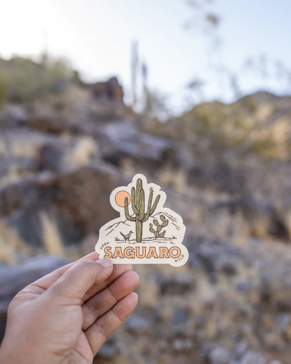 Keep Saguaro Wild Sticker