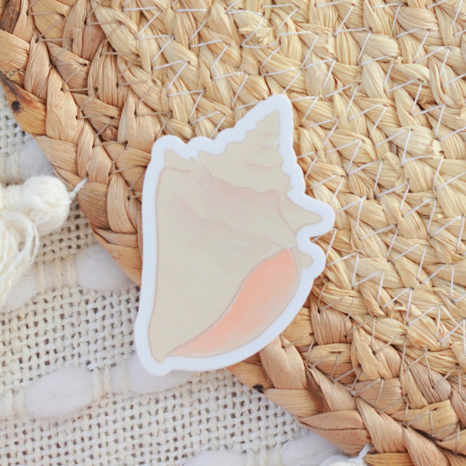 Conch Shell Sticker