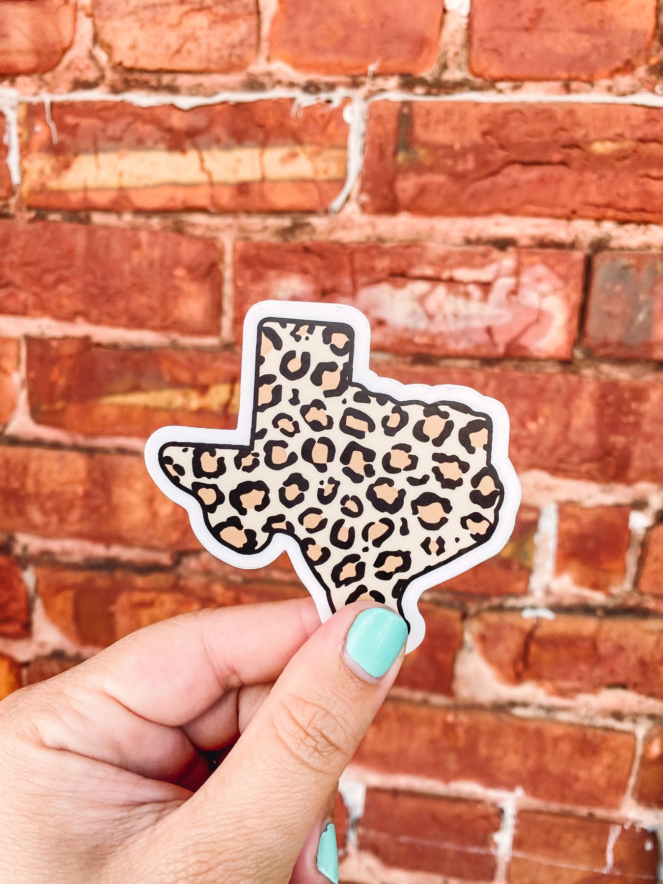 Leopard Texas Sticker
